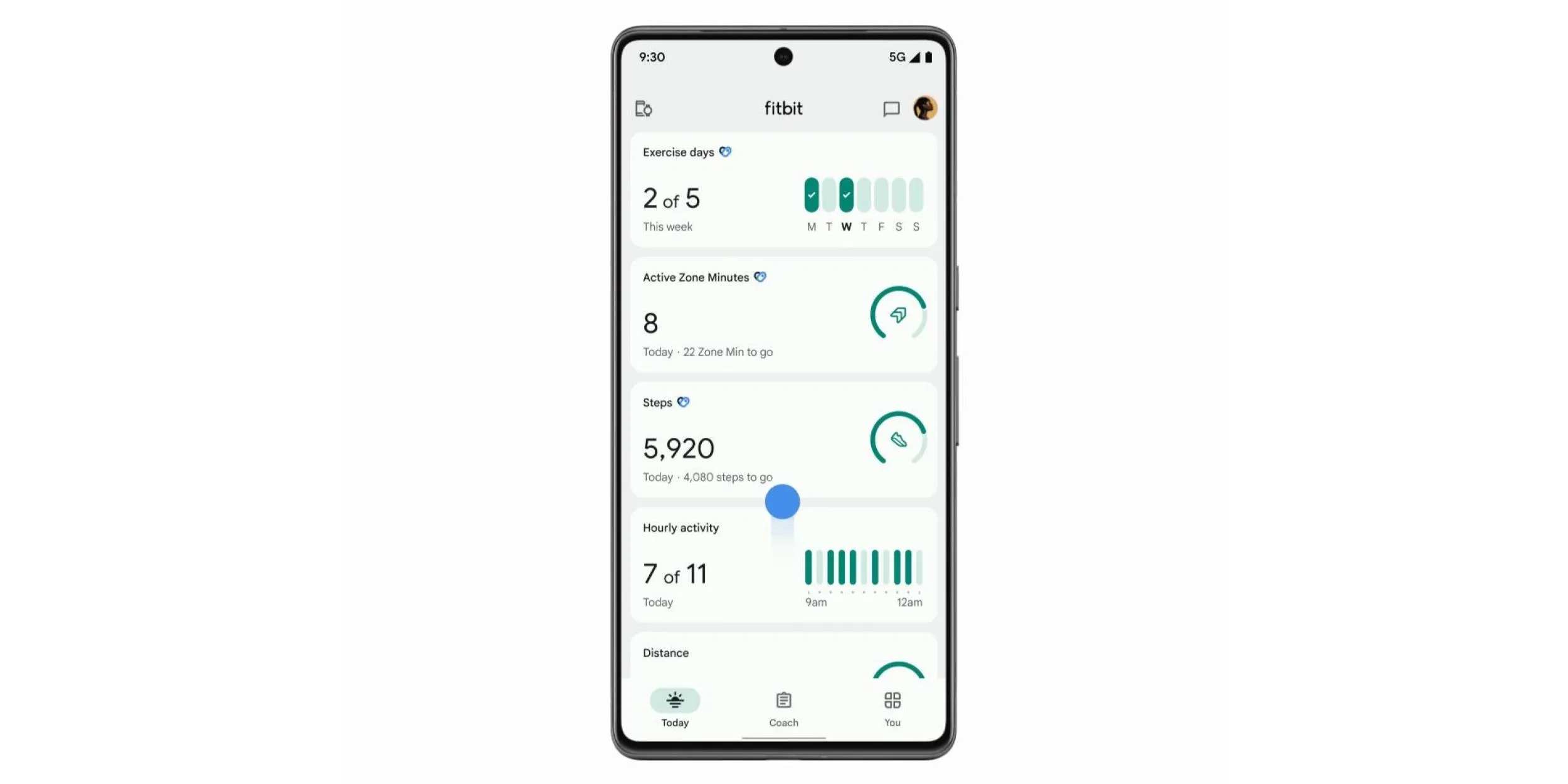 Fitbit App